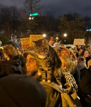 У-Ризі-відбувся-масовий-протест-проти-виходу-Латвії-зі-Стамбульської-конвенції У-Ризі-відбувся-масовий-протест-проти-виходу-Латвії-зі-Стамбульської-конвенції