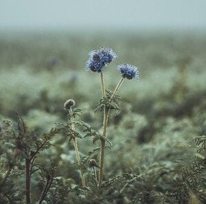 День-ангела-31 жовтня:-кого-та як вітати-з іменинами День-ангела-31 жовтня:-кого-та як вітати-з іменинами