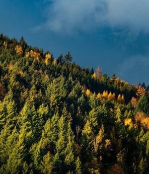 Якою-погодою-почнеться-листопад:-синоптикиня-здивувала-прогнозом Якою-погодою-почнеться-листопад:-синоптикиня-здивувала-прогнозом