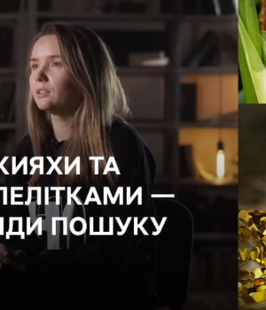 Пітятко,-кияхи-та-сукня-з-лелітками-–-нові-тренди-пошуку-в-мережі Пітятко,-кияхи-та-сукня-з-лелітками-–-нові-тренди-пошуку-в-мережі