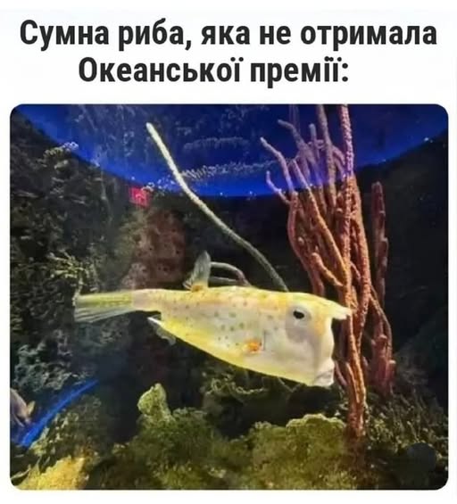original.jpg