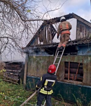 Горіли-господарські-споруди-і-хата:-на-Волині-рятувальники-приборкали-три-пожежі Горіли-господарські-споруди-і-хата:-на-Волині-рятувальники-приборкали-три-пожежі