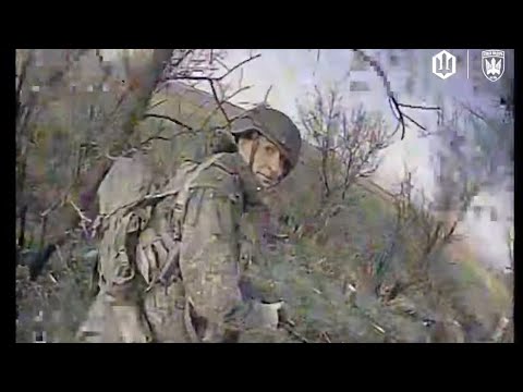 Усюди, де не бачу, і-бачу хробаків. Знимкують Птахи Мадяра. (ВІДЕО) Усюди, де не бачу, і-бачу хробаків. Знимкують Птахи Мадяра. (ВІДЕО)