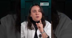 Лісова кватирка: хто побудувався у волинському лісі? (ВІДЕО) Лісова кватирка: хто побудувався у волинському лісі? (ВІДЕО)