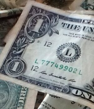 Курс-валют-на-2-листопада:-скільки-коштує-долар,-євро-та-злотий