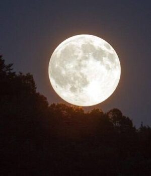 Українці-5-листопада-зможуть-побачити-Бобровий-супермісяць