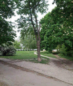 У-Луцьку-земельну-ділянку-за-16-мільйонів-гривень-купив-партнер-ресторатора 