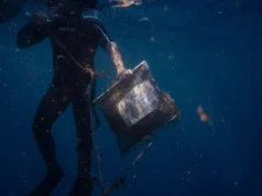 У Греції за допомогою мідій вчені виявляють у морі мікропластик У-Греції-за-допомогою-мідій-вчені-виявляють-у-морі-мікропластик