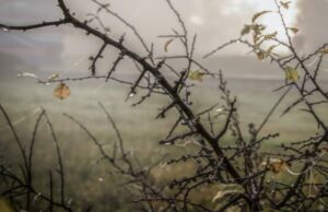 Якою буде на Волині погода на початку листопада Якою-буде-на-Волині-погода-на-початку-листопада