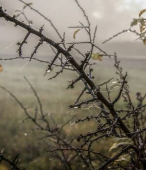 Якою-буде-на-Волині-погода-на-початку-листопада Якою-буде-на-Волині-погода-на-початку-листопада