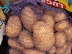 Вибір доволі широкий: скільки коштує картопля на ринку у Луцьку Вибір-доволі-широкий:-скільки-коштує-картопля-на-ринку-у-Луцьку