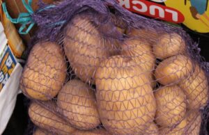 Вибір доволі широкий: скільки коштує картопля на ринку у Луцьку Вибір-доволі-широкий:-скільки-коштує-картопля-на-ринку-у-Луцьку