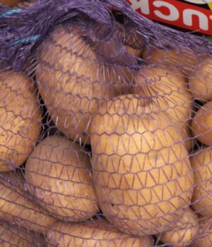 Вибір-доволі-широкий:-скільки-коштує-картопля-на-ринку-у-Луцьку Вибір-доволі-широкий:-скільки-коштує-картопля-на-ринку-у-Луцьку