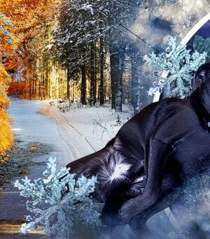 На Україну-насуваються-похолодання-і мокрий-сніг:-названо-дату На Україну-насуваються-похолодання-і мокрий-сніг:-названо-дату