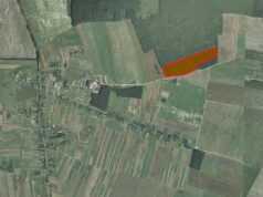 На Волині міськрада здала в оренду 12 гектарів поля майже за чверть мільйона На-Волині-міськрада-здала-в-оренду-12-гектарів-поля-майже-за-чверть-мільйона