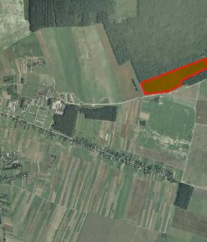 На-Волині-міськрада-здала-в-оренду-12-гектарів-поля-майже-за-чверть-мільйона На-Волині-міськрада-здала-в-оренду-12-гектарів-поля-майже-за-чверть-мільйона