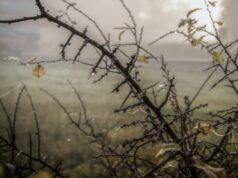 Якою на Волині буде погода у листопаді і коли чекати сніг Якою-на-Волині-буде-погода-у-листопаді-і-коли-чекати-сніг