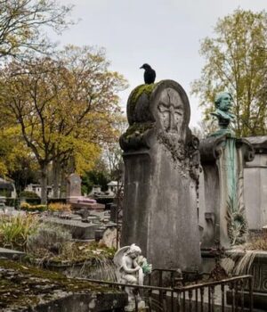 Спочивати-поруч-з-Едіт-Піаф-і-Оскаром-Вайльдом:-у-Парижі-оголосили-лотерею-за-місце-на. Спочивати-поруч-з-Едіт-Піаф-і-Оскаром-Вайльдом:-у-Парижі-оголосили-лотерею-за-місце-на.