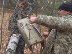 На Волині у нацпарку знайшли пастки браконьєрів. ФОТО На-Волині-у-нацпарку-знайшли-пастки-браконьєрів.-ФОТО