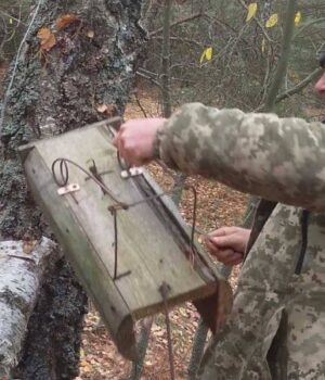На-Волині-у-нацпарку-знайшли-пастки-браконьєрів.-ФОТО На-Волині-у-нацпарку-знайшли-пастки-браконьєрів.-ФОТО