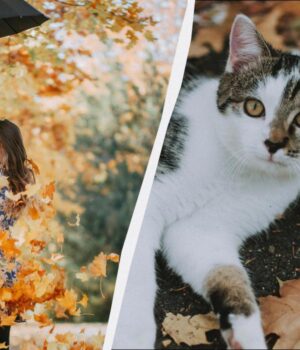 Заборонено-робити-3-речі-–-накличете-горе:-прикмети-про-свято-7-листопада-2025 Заборонено-робити-3-речі-–-накличете-горе:-прикмети-про-свято-7-листопада-2025