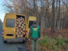 На Волині зупинили бус, завантажений деревиною з Нацпарку На-Волині-зупинили-бус,-завантажений-деревиною-з-Нацпарку