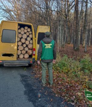 На-Волині-зупинили-бус,-завантажений-деревиною-з-Нацпарку
