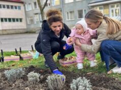 У Луцьку клумбу з тисячі тюльпанів присвятили передчасно народженим дітям У-Луцьку-клумбу-з-тисячі-тюльпанів-присвятили-передчасно-народженим-дітям