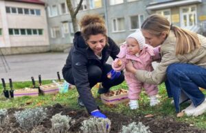 У Луцьку клумбу з тисячі тюльпанів присвятили передчасно народженим дітям У-Луцьку-клумбу-з-тисячі-тюльпанів-присвятили-передчасно-народженим-дітям