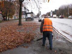 На кладовище чи в компост: як утилізовують опале листя у Луцьку На-кладовище-чи-в-компост:-як-утилізовують-опале-листя-у-Луцьку