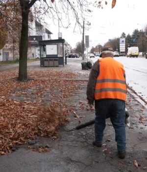 На-кладовище-чи-в-компост:-як-утилізовують-опале-листя-у-Луцьку На-кладовище-чи-в-компост:-як-утилізовують-опале-листя-у-Луцьку