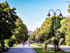 У луцькому парку планують встановити оглядове колесо У-луцькому-парку-планують-встановити-оглядове-колесо