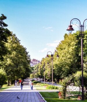 У-луцькому-парку-планують-встановити-оглядове-колесо У-луцькому-парку-планують-встановити-оглядове-колесо