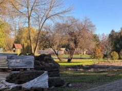 У центральному парку почали облаштовувати відкритий спортмайданчик У-центральному-парку-почали-облаштовувати-відкритий-спортмайданчик