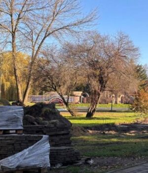 У-центральному-парку-почали-облаштовувати-відкритий-спортмайданчик У-центральному-парку-почали-облаштовувати-відкритий-спортмайданчик