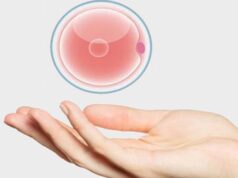 Чому жінки вирішують стати донорами яйцеклітин Чому-жінки-вирішують-стати-донорами-яйцеклітин