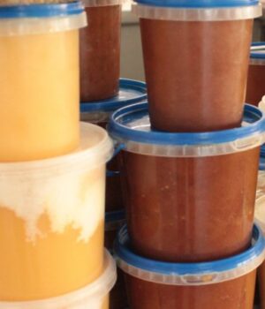 Скільки-коштує-мед-на-ринку-та-у-магазинах-Луцька Скільки-коштує-мед-на-ринку-та-у-магазинах-Луцька