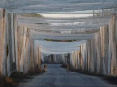 Рибалки з Європи відправляють в Україну рибальські сітки для захисту від російських дронів Рибалки-з-Європи-відправляють-в-Україну-рибальські-сітки-для-захисту-від-російських-дронів