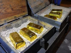 У Франції чоловік копав у саду басейн і знайшов скарб на €700 тисяч У-Франції-чоловік-копав-у-саду-басейн-і-знайшов-скарб-на-e700-тисяч