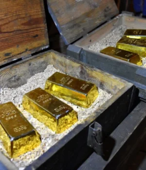 У-Франції-чоловік-копав-у-саду-басейн-і-знайшов-скарб-на-e700-тисяч