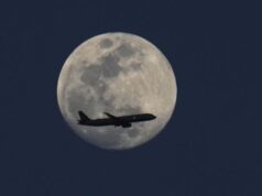 У США виник колапс у сфері авіаперевезень через шатдаун У США-виник-колапс-у сфері-авіаперевезень-через-шатдаун