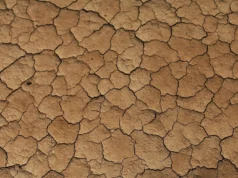 Англії загрожує найгірша посуха за десятиліття наступного року – The Guardian Англії-загрожує-найгірша-посуха-за-десятиліття-наступного-року-–-the-guardian