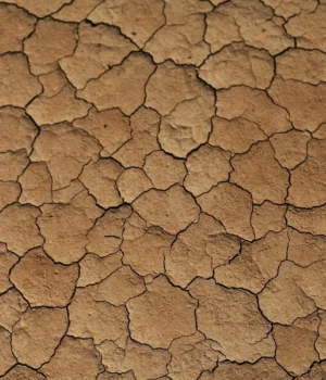 Англії-загрожує-найгірша-посуха-за-десятиліття-наступного-року-–-the-guardian Англії-загрожує-найгірша-посуха-за-десятиліття-наступного-року-–-the-guardian