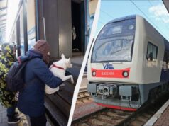 Безплатні 3000 кілометрів потягом: як скористатися програмою і де брати квитки Безплатні-3000-кілометрів-потягом:-як-скористатися-програмою-і-де-брати-квитки