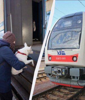 Безплатні-3000-кілометрів-потягом:-як-скористатися-програмою-і-де-брати-квитки Безплатні-3000-кілометрів-потягом:-як-скористатися-програмою-і-де-брати-квитки