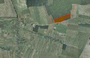 На Волині міськрада здала в оренду 12 гектарів поля майже за чверть мільйона На-Волині-міськрада-здала-в-оренду-12-гектарів-поля-майже-за-чверть-мільйона