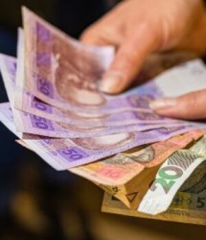 Злодій-поцупив-зі-сховку-волинянки-майже-$-4-тисячі