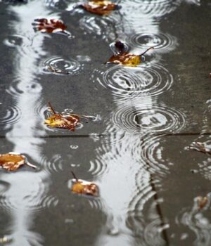 11-листопада-Україну-заллють-сильні-дощі 11-листопада-Україну-заллють-сильні-дощі