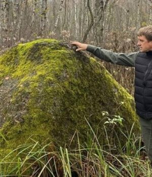 Свідок-льодовикової-епохи:-в-нацпарку-на-Волині-досліджують-тисячолітній-камінь