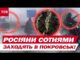 150 ТИСЯЧ ВІЙСЬК РОСІЇ на ПІДСТУПАХ до ПОКРОВСЬКА! УНІКАЛЬНІ КАДРИ! (ВІДЕО) 150 ТИСЯЧ ВІЙСЬК РОСІЇ на ПІДСТУПАХ до ПОКРОВСЬКА! УНІКАЛЬНІ КАДРИ! (ВІДЕО)